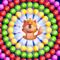 Kitten Bubble Shooter Games