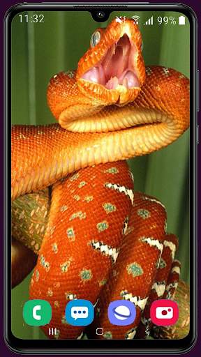 Snake Wallpaper Best HD screenshot 14