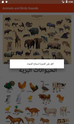 Animals & Birds Sound Effects screenshot 4
