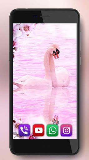 Spring Swans Live Wallpaper screenshot 2