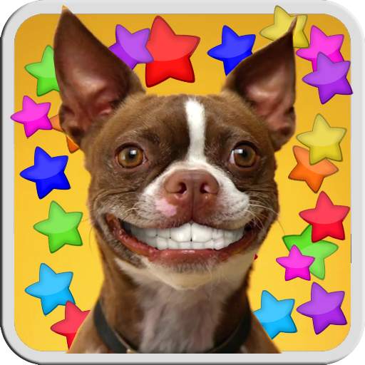 DOG SMILES LIVE WALLPAPER 1.0