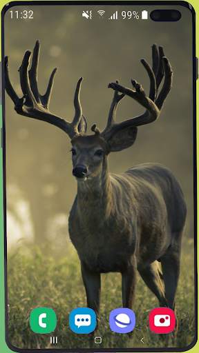 Deer Wallpaper HD screenshot 9