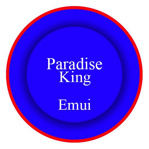 King Paradise Emui 5 Theme 4.0