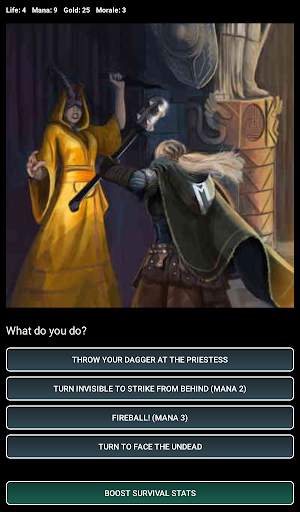 Dungeons and Decisions RPG screenshot 15