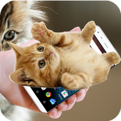 On Screen Cat Walks: Funny &amp; Cute Animation icon