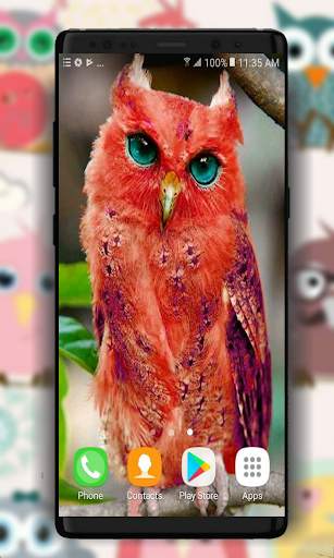 Owl Wallpaper screenshot 2