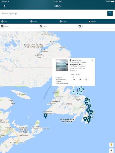 Iceberg Alley - Sightings screenshot 4