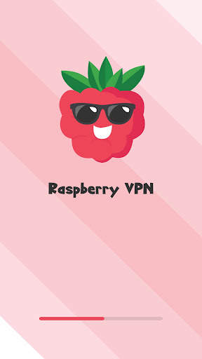 raspberry VPN screenshot 4