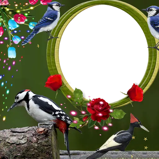 Woodpecker Insta DP screenshot 1