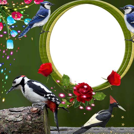 Woodpecker Insta DP 1 تصوير الشاشة