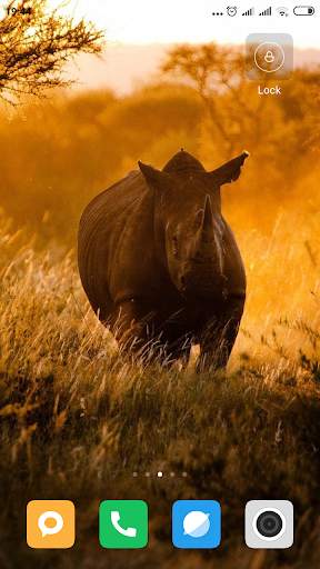 Safari HD Wallpaper screenshot 1