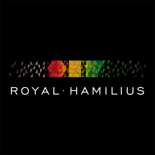 Royal-Hamilius 3D 2.0
