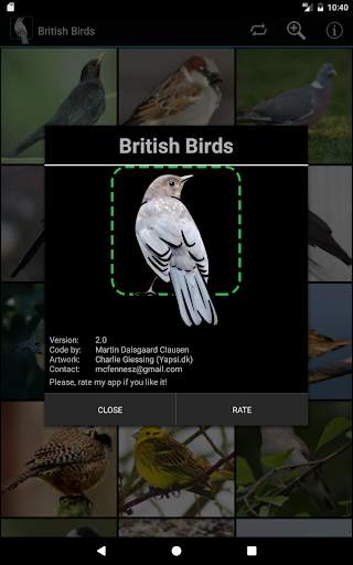 British Birds screenshot 12