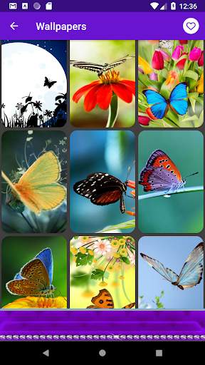 Butterfly Frames - Best HD Photo Frames Editor 15 تصوير الشاشة