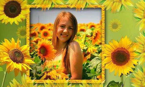 Sunflower Photo frames 5 تصوير الشاشة