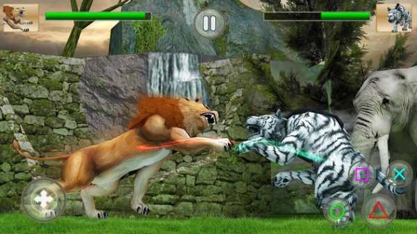 Wild Big Cats Fighting Challenge 2: Lion vs Tigers screenshot 1