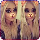 Snap CatFace Filters 1.0