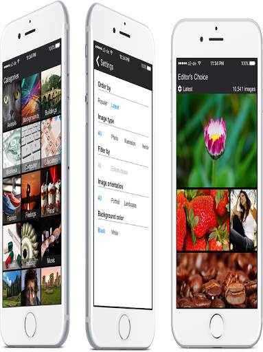 pixabay video screenshot 8