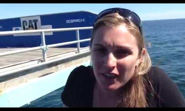 Global Shark Tracker screenshot 7