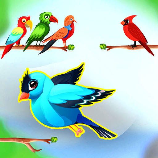 Bird color sort - Match puzzle 0.5