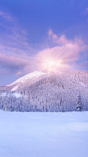 Winter Wallpapers : backgrounds hd screenshot 3