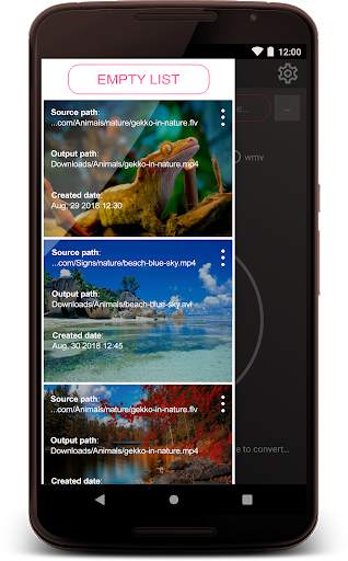 Platinum Media Converter screenshot 2