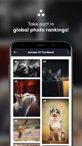 Shuttout - More Than Photo Contests screenshot 4