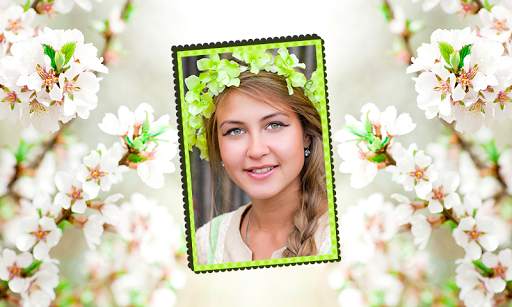 Peacock & Nature Photo Frames 9 تصوير الشاشة