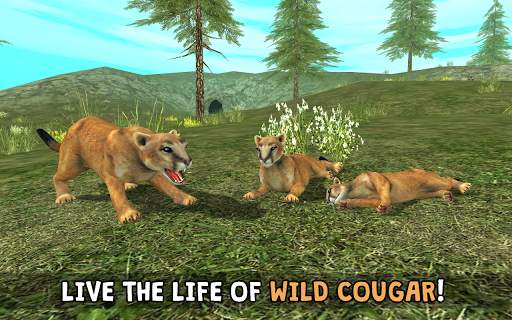 Wild Cougar Sim 3D स्क्रीनशॉट 1