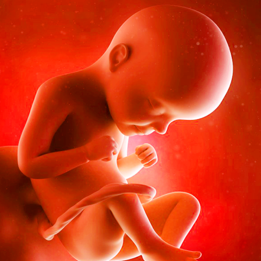 pregnancy app icon