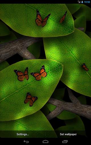 Tap Leaves Free Live Wallpaper screenshot 2