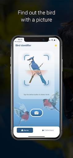 Bird Identifier - Picture Bird screenshot 3