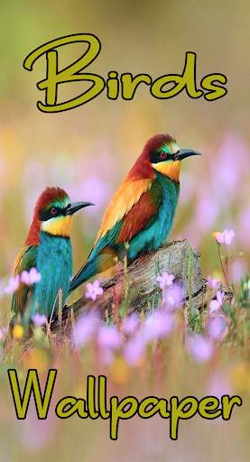 Birdpaper - Bird Mobile Wallpapers screenshot 1