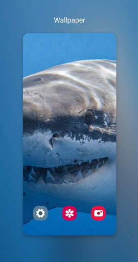 Shark Wallpapers_خلفيات سمك القرش screenshot 2