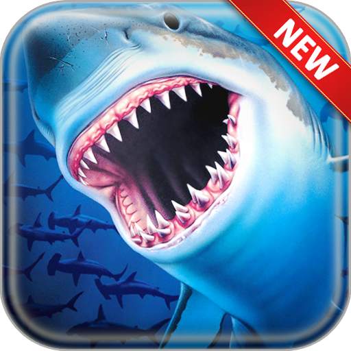 Shark Wallpapers 2.2