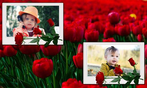 Awesome Double Photo Frame Garden Wale Application screenshot 22