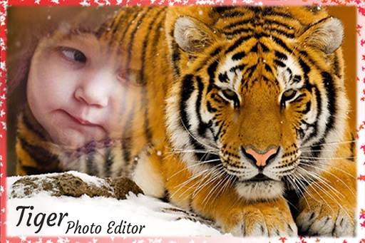 Tiger Photo Editor: Tiger Photo Frame screenshot 6