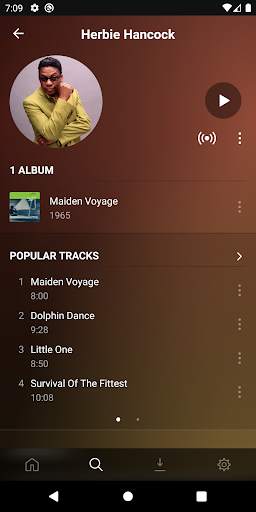 Plexamp screenshot 2