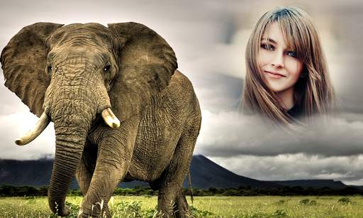 Wild Animal Photo Frames screenshot 5