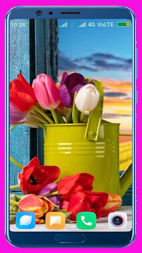 Tulips Flower Wallpaper Best 4K screenshot 3