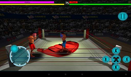 3D Boxing screenshot 3
