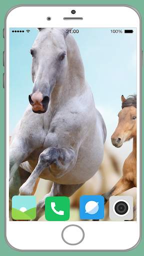 Horse Full HD Wallpaper screenshot 4