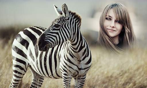 Wild Animal Photo Frames screenshot 6