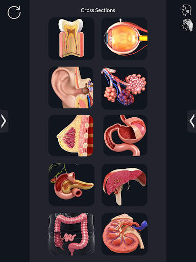 My Organs Anatomy screenshot 9