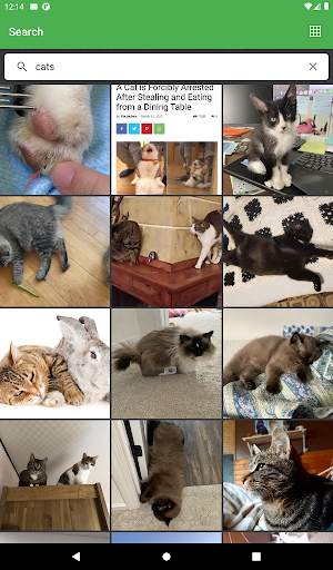 Imgur Browser screenshot 6