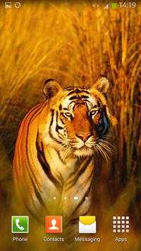 Tiger Live Wallpaper screenshot 5