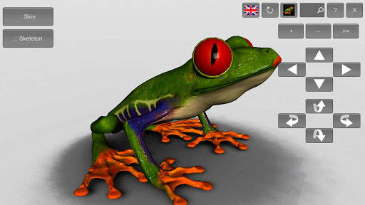 3D Frog Skeleton screenshot 11