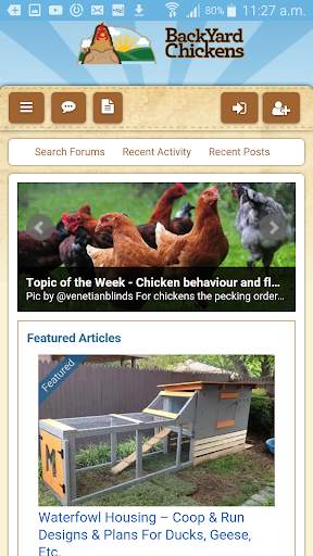 BackYard Chickens BYC screenshot 1