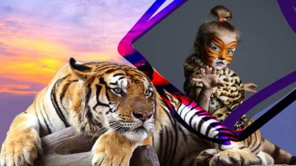 Tiger Frames For Photos screenshot 4