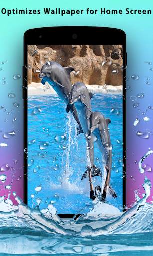 Dolphins Live Wallpaper screenshot 2